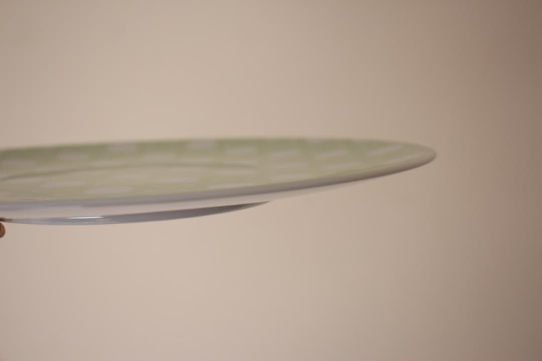 ディオール　カナージュ　プロヴァンス　２７cm　ディナープレート　ペア