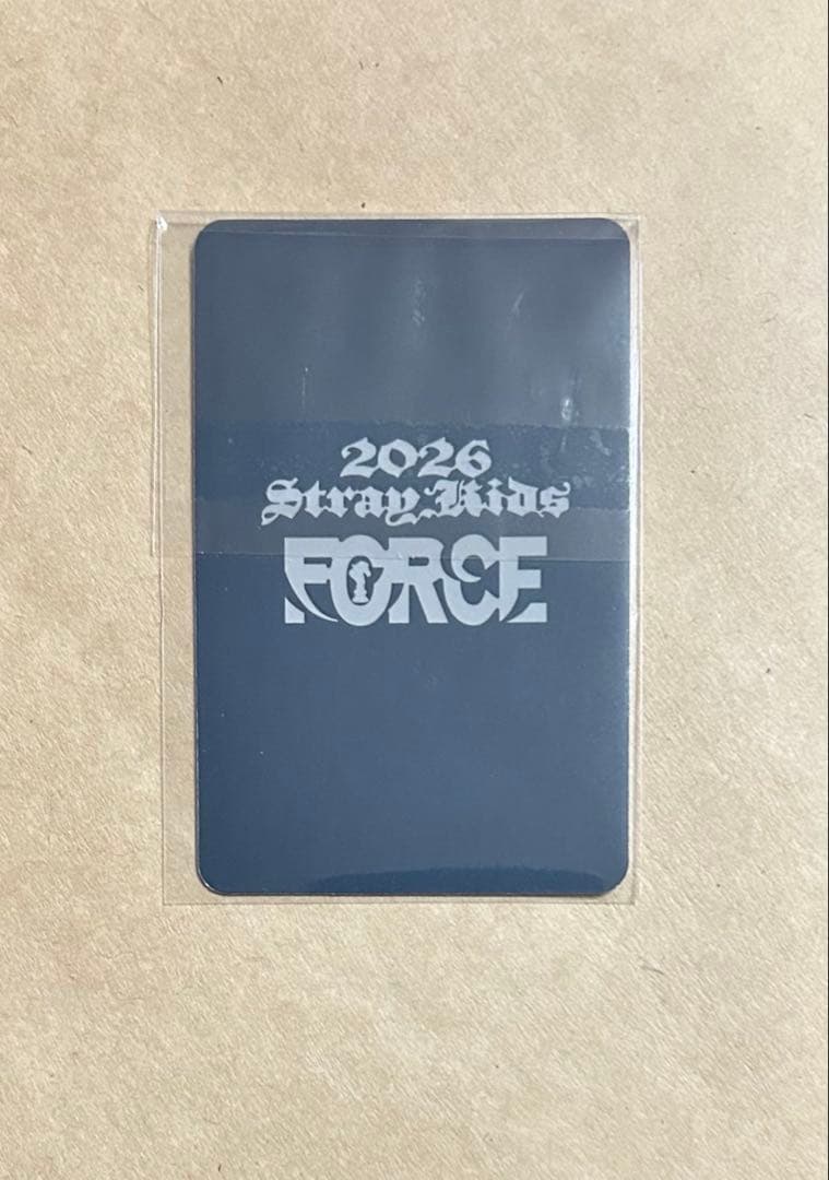 Stray Kids 2026シーグリ ユニット トレカ リノ ハン 味噌 - メルカリ