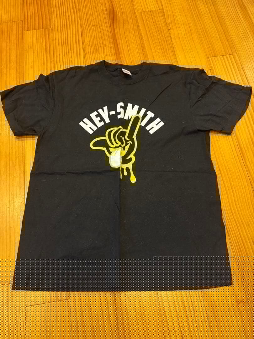 バンドTシャツ17枚　パーカー1枚　18枚セット