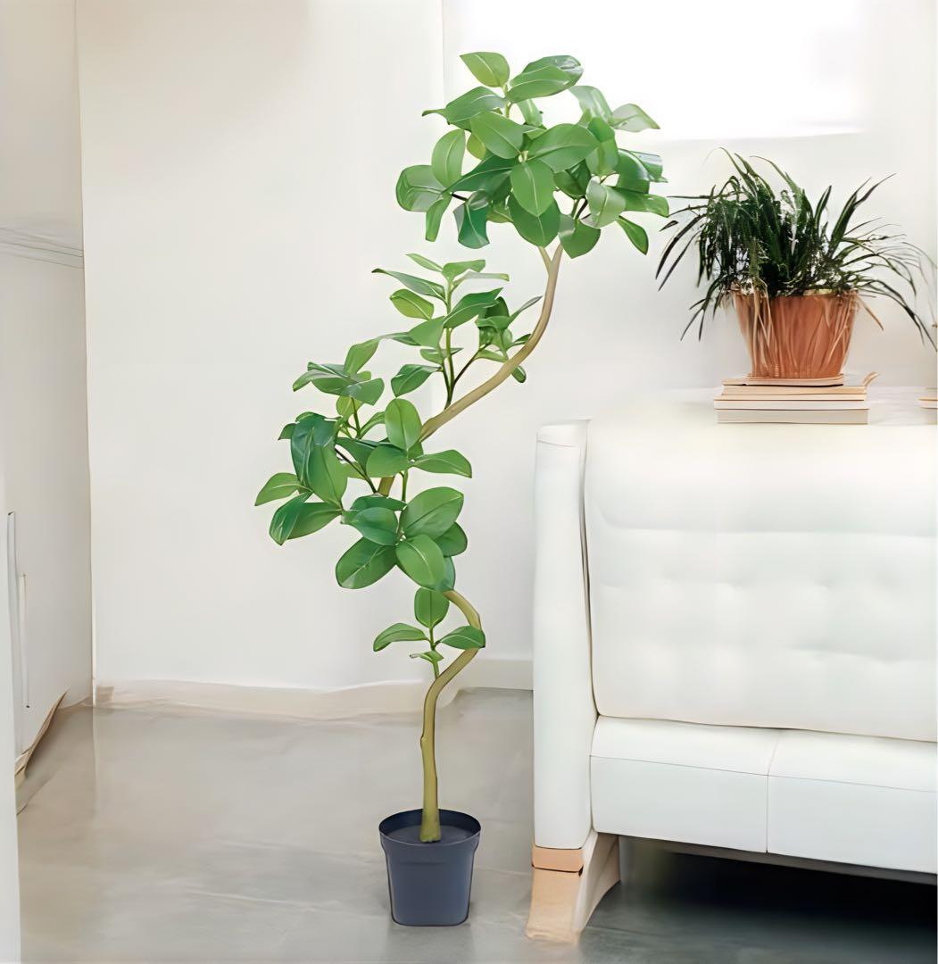 光触媒　人工観葉植物　ウォールグリーン　フェイクグリーン　アルテシマエレガンス2