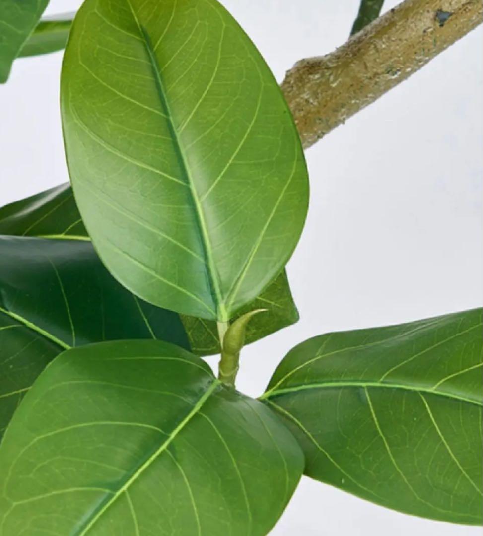 光触媒　人工観葉植物　ウォールグリーン　フェイクグリーン　アルテシマエレガンス2