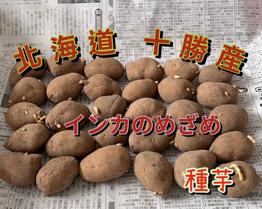 北海道 〖十勝産〗 インカのめざめ種芋 1kg ② - メルカリ