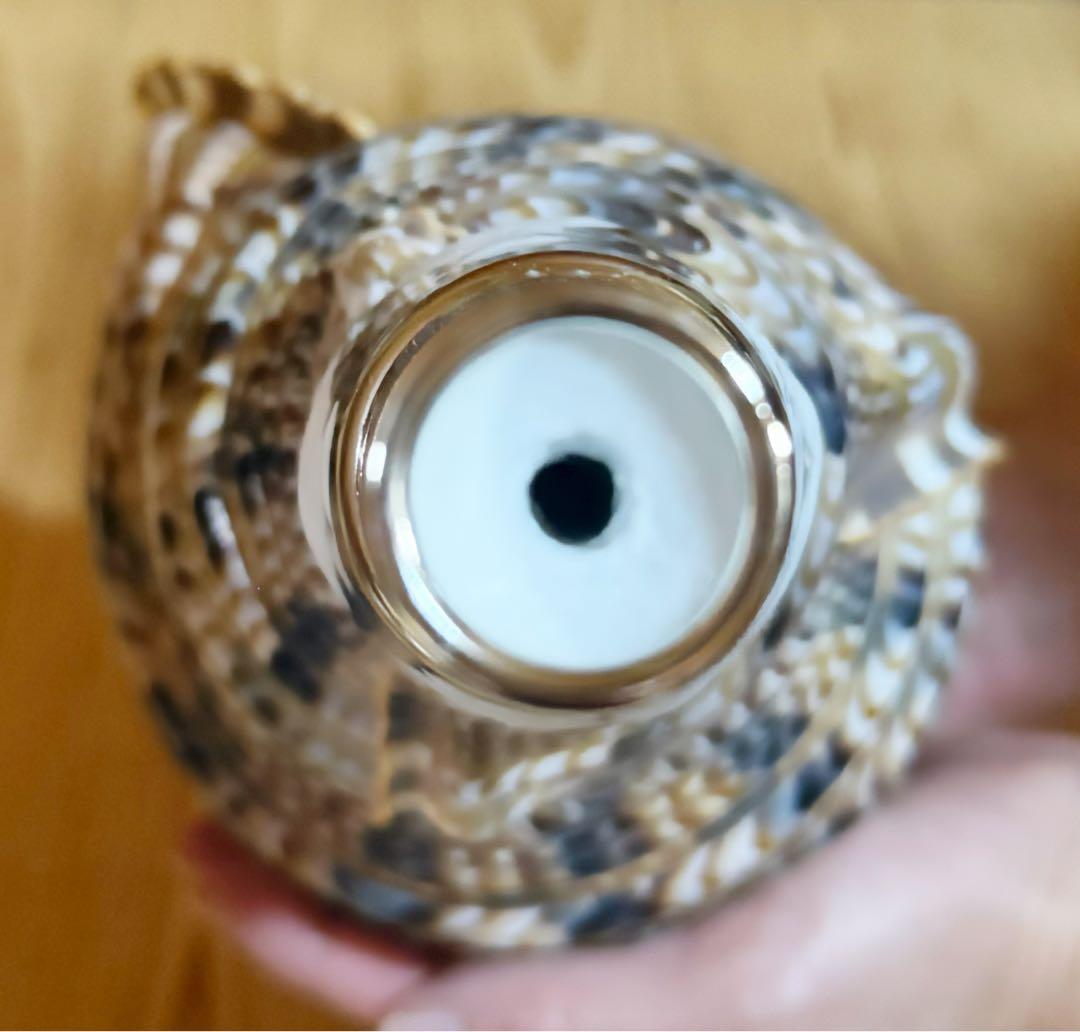 修験道法螺貝37㎝　山伏　密教　魔除け　熊よけ❣️ホラガイ　ほら貝