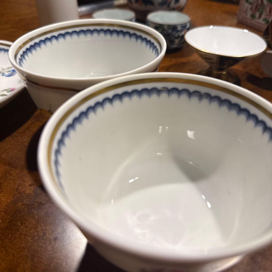 リチャードジノリ イタリアンフルーツ ティーカップ プレート19センチ 2組