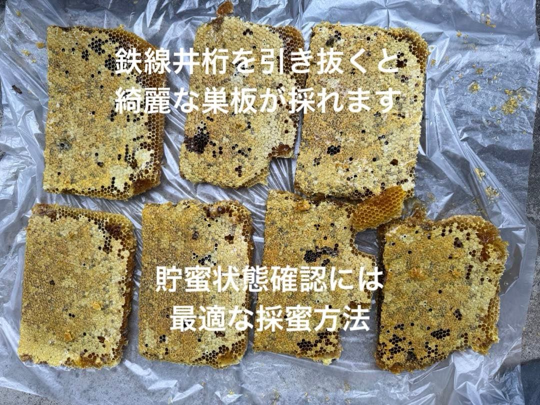 日本蜜蜂 重箱式巣箱4段 スライド底板 付巣門台座　スノコ付き　セット割引有