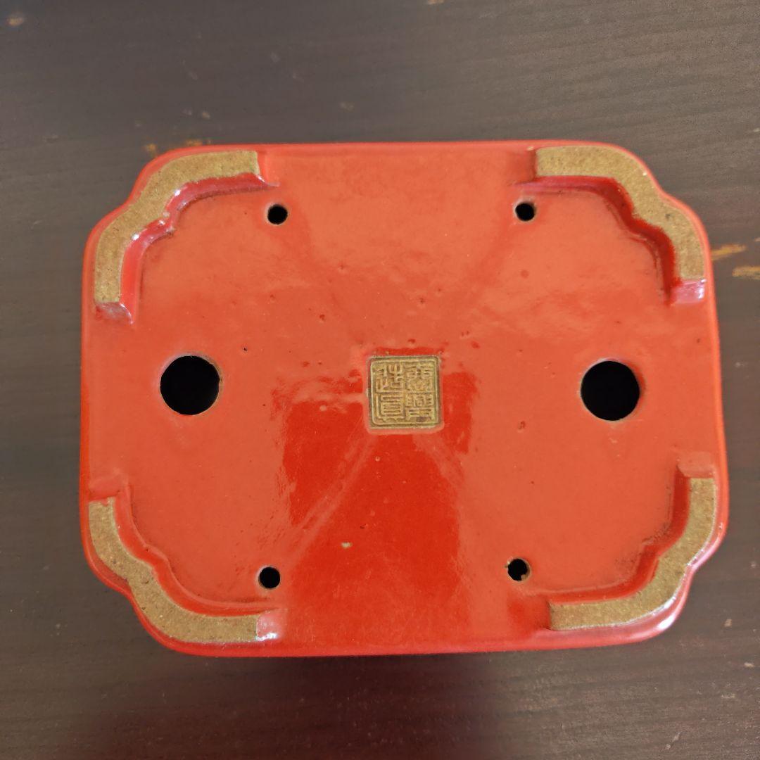 珊瑚　長方形鉢　渡辺一興