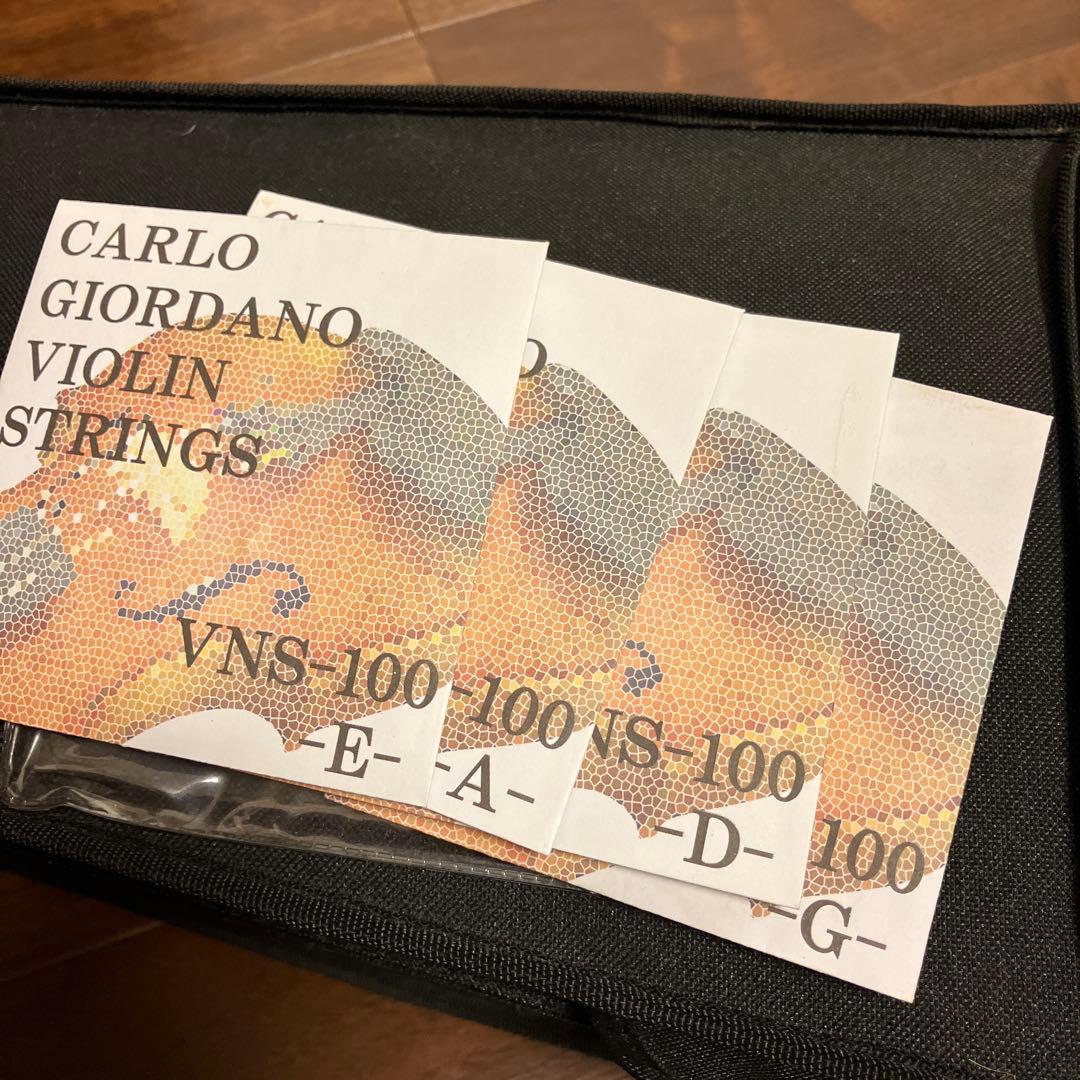 Banana様専用カルロジョルダーノ エレキバイオリンクロサワバイオリン