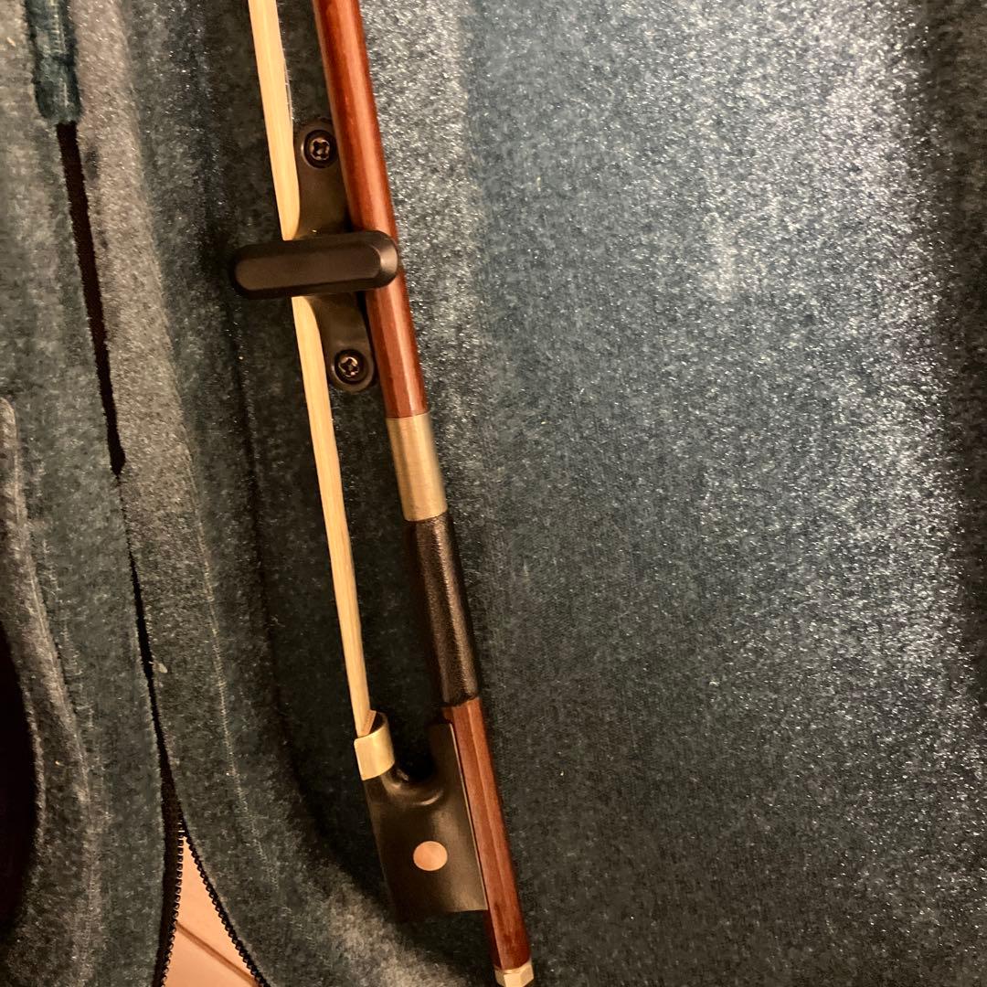 Banana様専用カルロジョルダーノ エレキバイオリンクロサワバイオリン