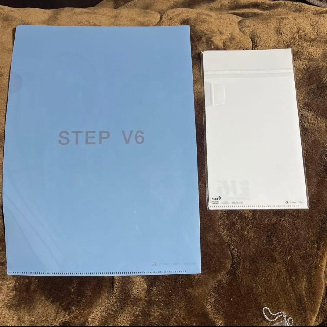 V6 まとめ売り クリアファイル チケットホルダー ミニアクリル