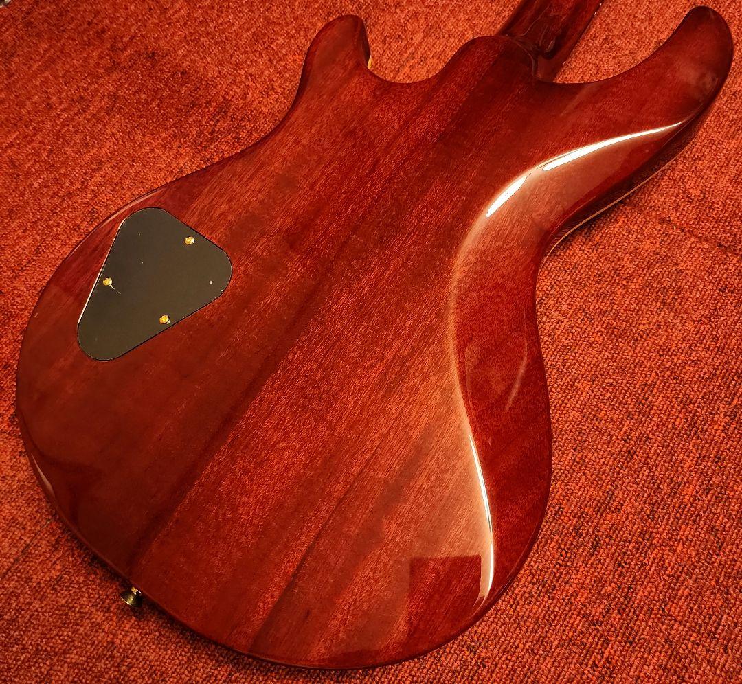 DBZ GUITARS INFINITY MONDIAL 富士弦 RED - メルカリ