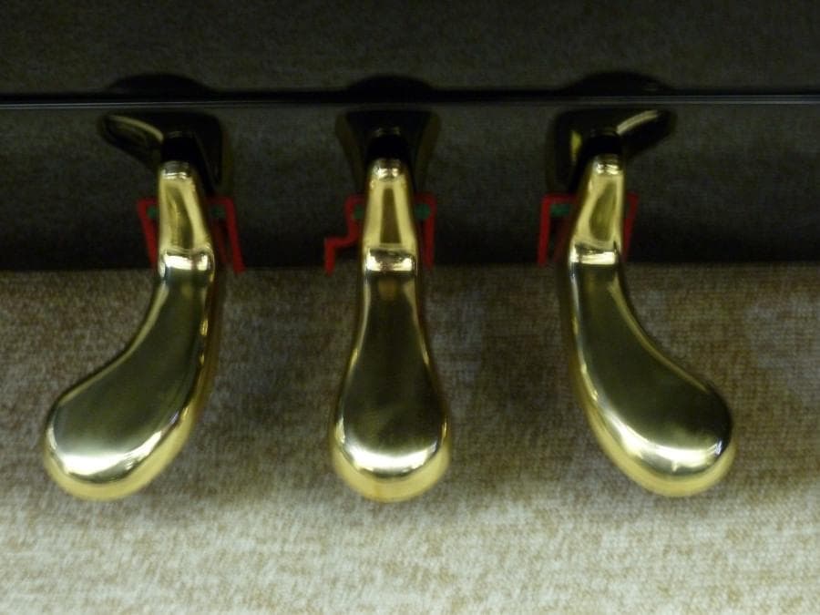 専門店整備済☆シュベスター☆No.51☆オーバーホール（弦・他全交換