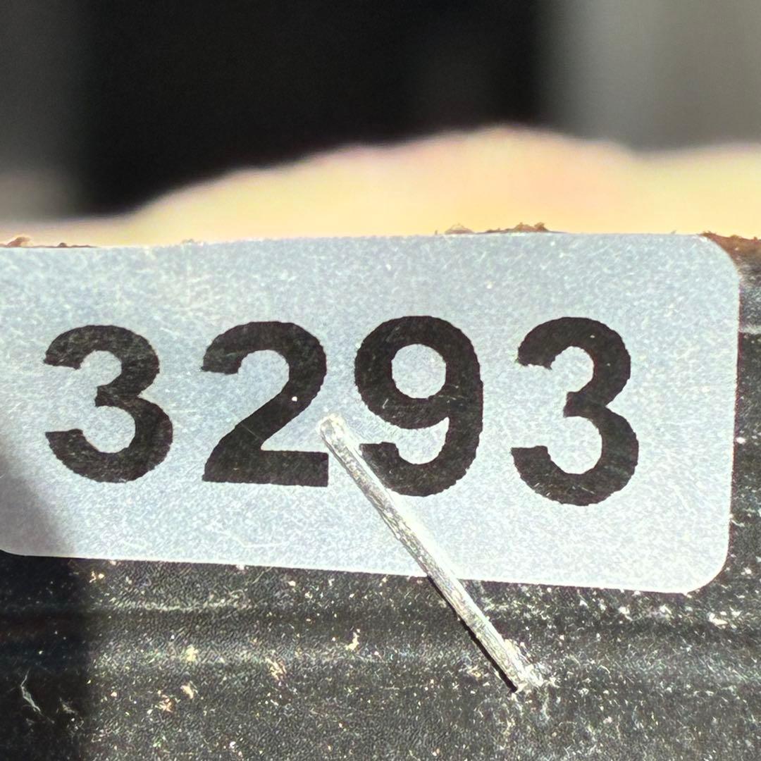 ヒ*イ様 ❤️根パンパン❤️⭐️超⭐️沢山新芽❤️3293⭐️SD⭐️herce