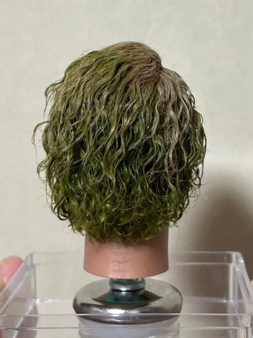 1/6 カスタム植毛ヘッド ダークナイト ジョーカー 審問1.0Ver - メルカリ