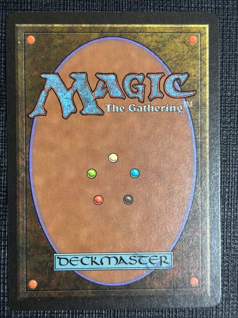 Northern Paladin/北の聖騎士/LEB