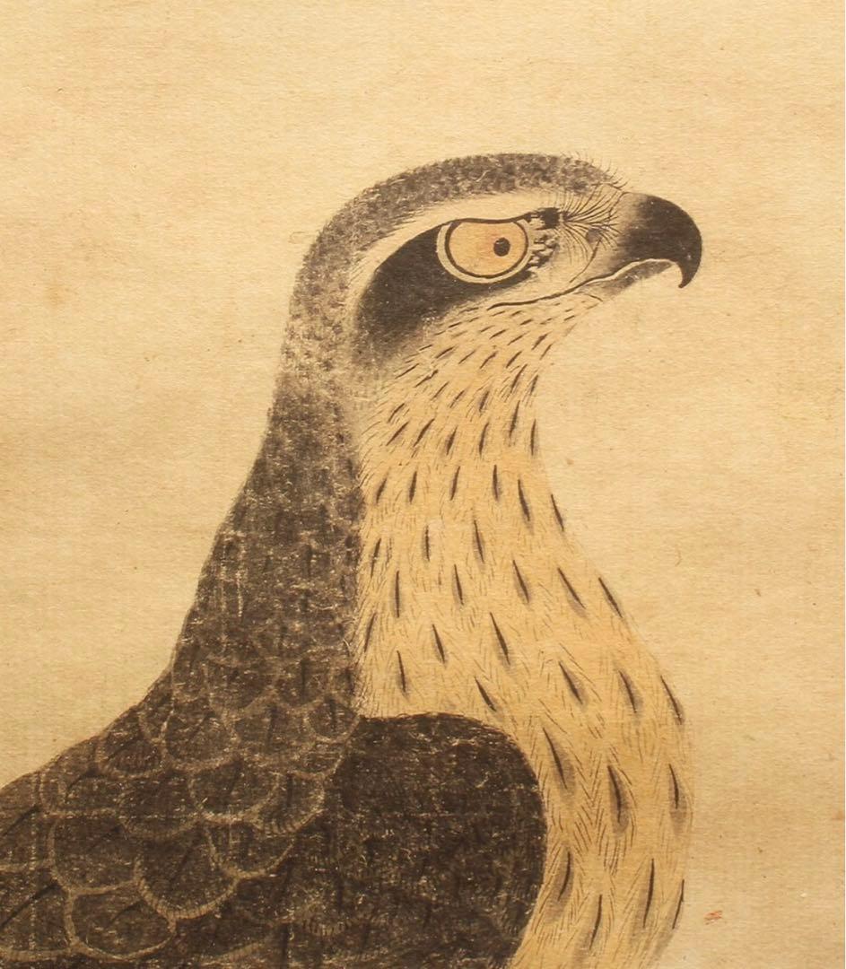 土岐頼芸 工芸品 「鷹図」 掛軸 紙本 日本画 美濃国守護大名 複製工芸