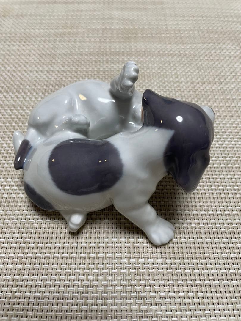 コペン　フィギリン　戯れている子犬