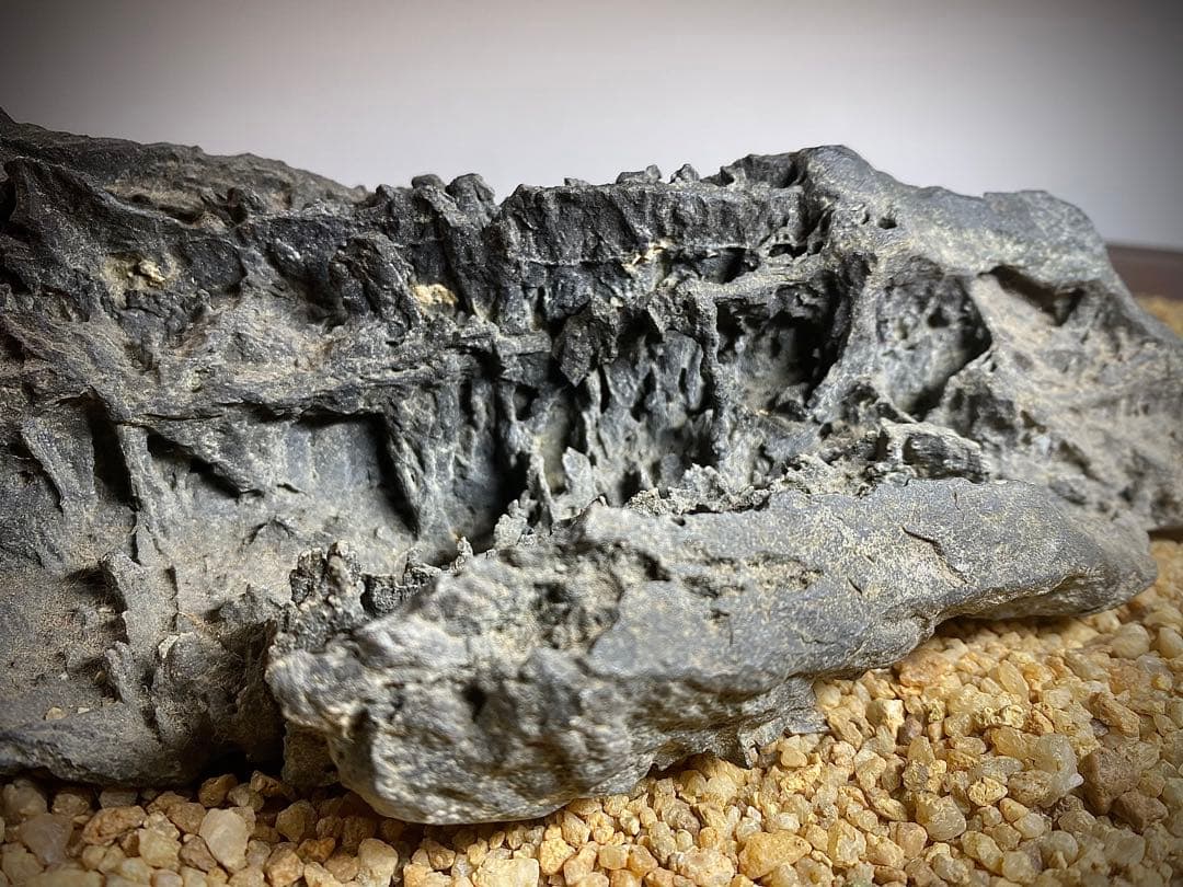 4222 佐治川石《希少》 水石 盆栽 盆石 置物 鑑賞石