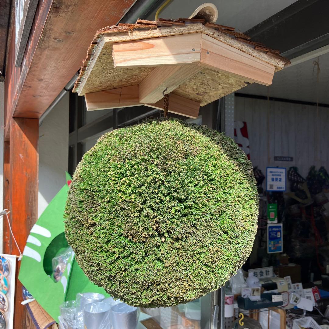 杉玉【屋根付き】②