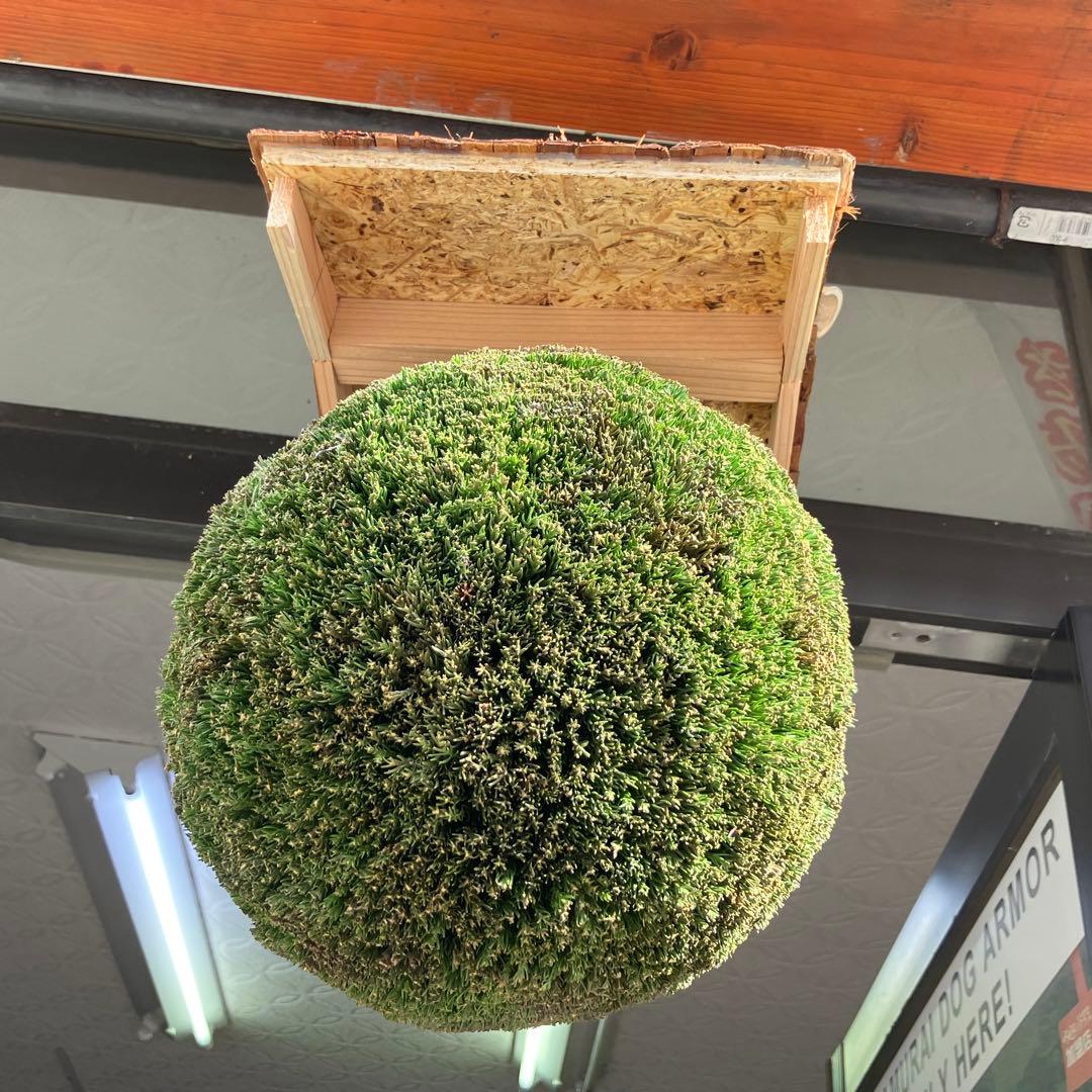 杉玉【屋根付き】②