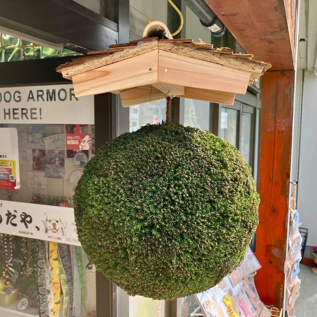 杉玉【屋根付き】②