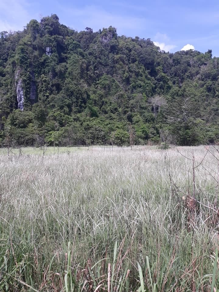 神聖物♌レクライ♋秘仏♉プラ・ウパカット♊神秘の宝物♎プラクルアン✨