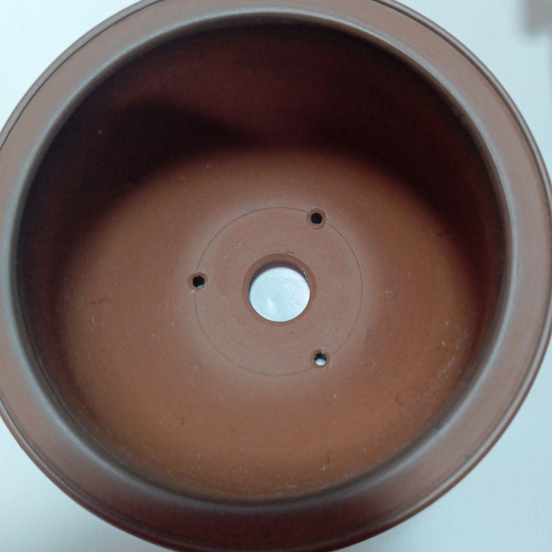 盆栽鉢 美芸 外径11.7×7.2cm - メルカリ