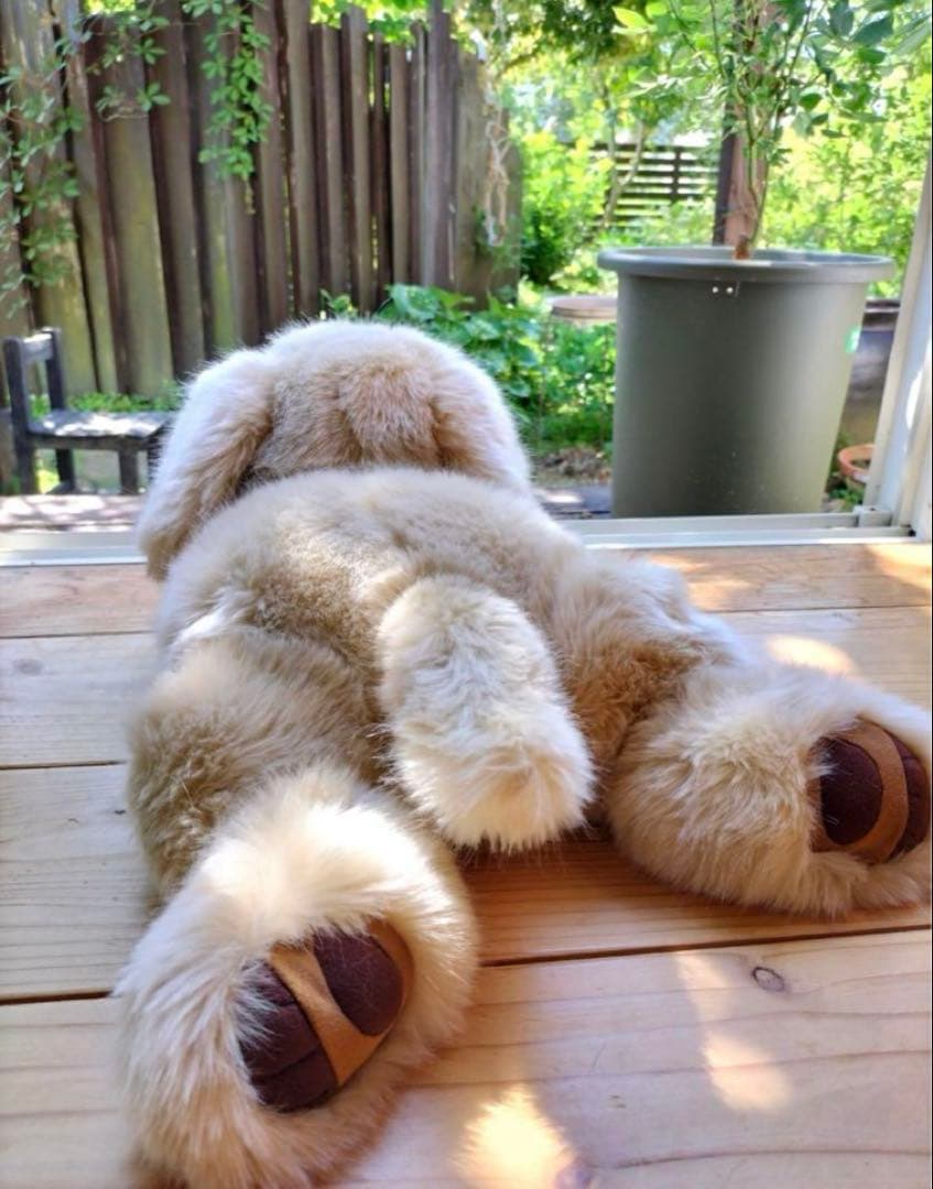 【新品】【命の重み】パトラン　ぬいぐるみ　犬　 ゴールデンレトリバー