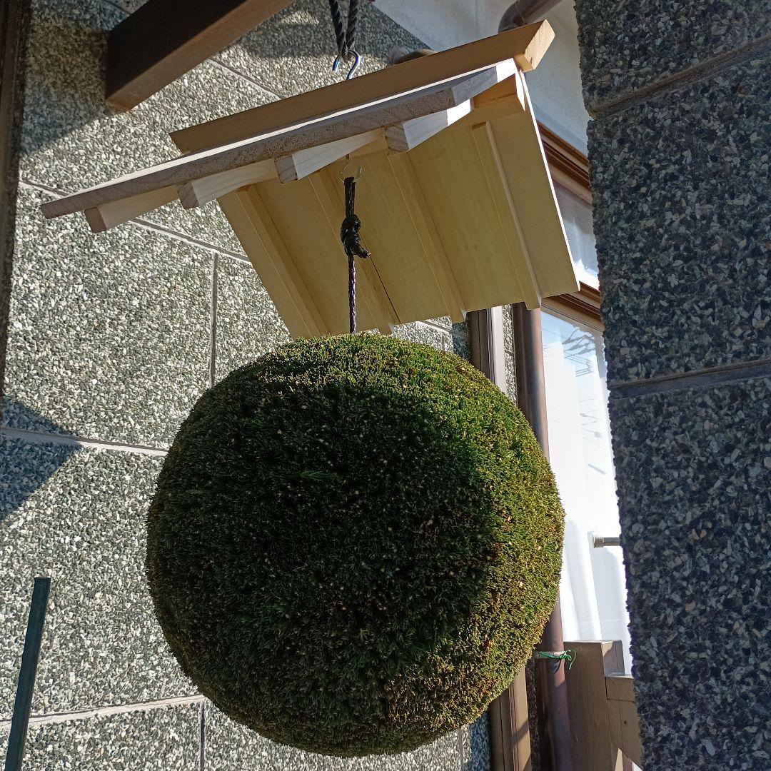 杉玉 直径37cm 屋根付き