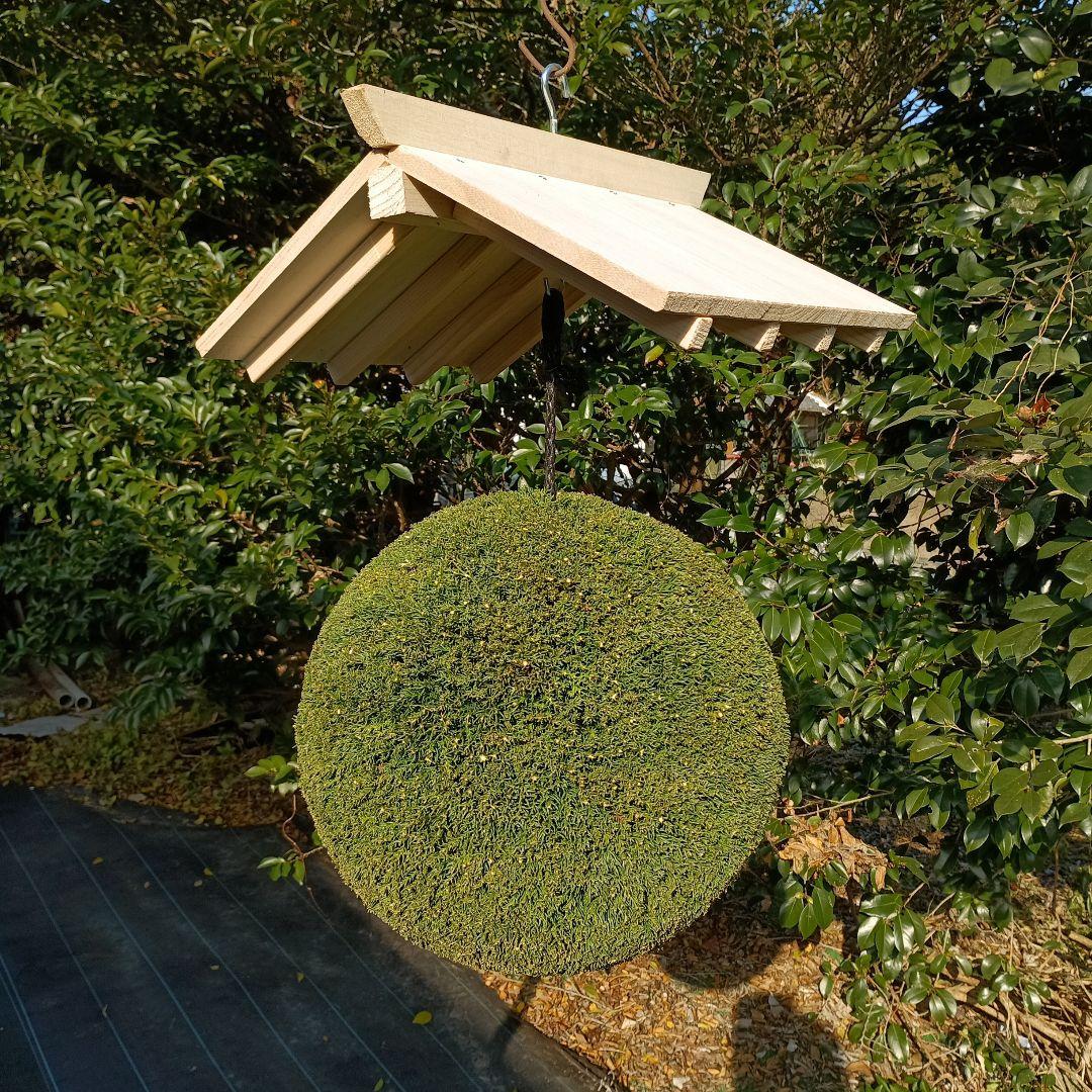 杉玉 直径37cm 屋根付き