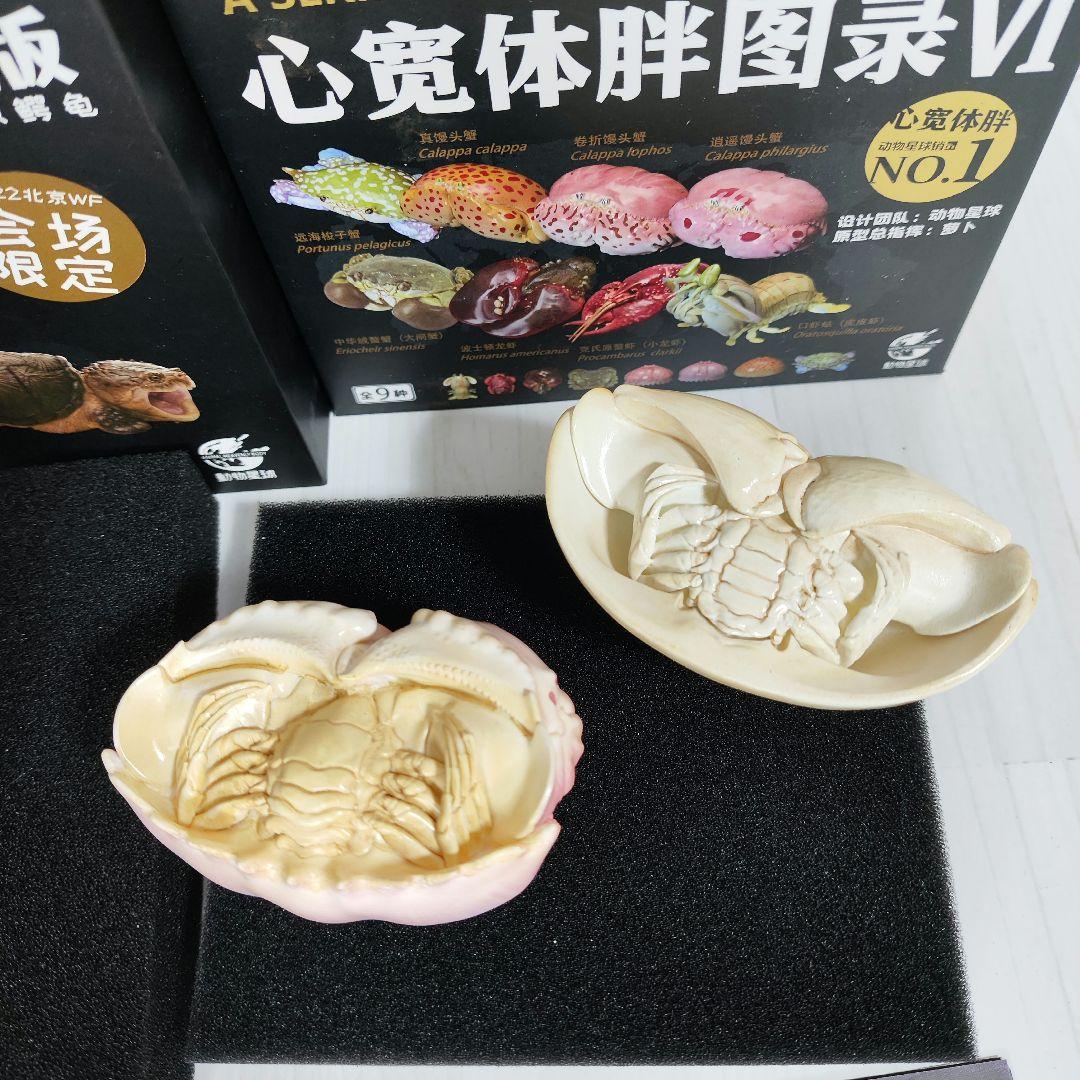 動物の惑星】激レア☆カミツキガメ限定品+カラッパ廃盤品!! フィギュア