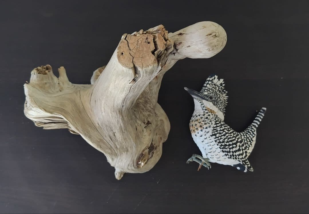 バードカービング”ヤマセミ”(山翡翠）40%スケール S.No.:B04711