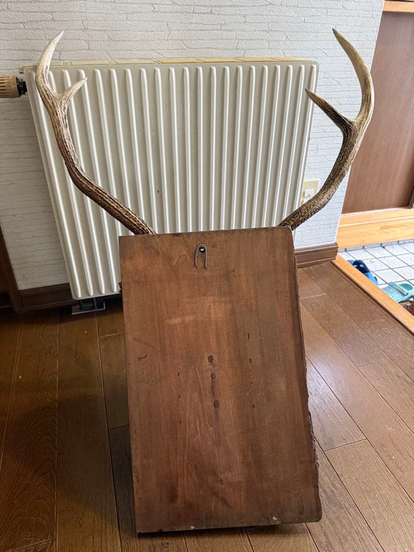 ビ*ビ様 ボリューム抜群　鹿 ハンティングトロフィー 剥製 壁飾り インテリア