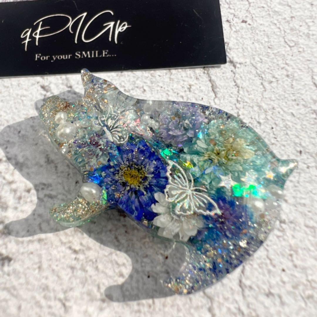 【No.211】ブタ キラキラキラキラ ♡弾ける爽やかさ♡