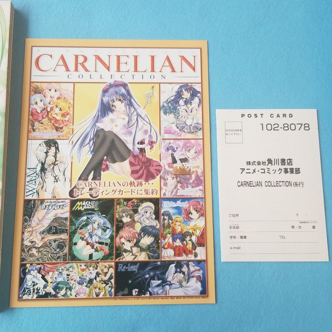 入手困難】カーネリアンコレクション : ゲームワークス集 - メルカリ