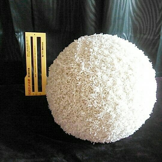 新品 もこもこ 椅子 球 チェアー スツール イス クッション デザイナーズ家具