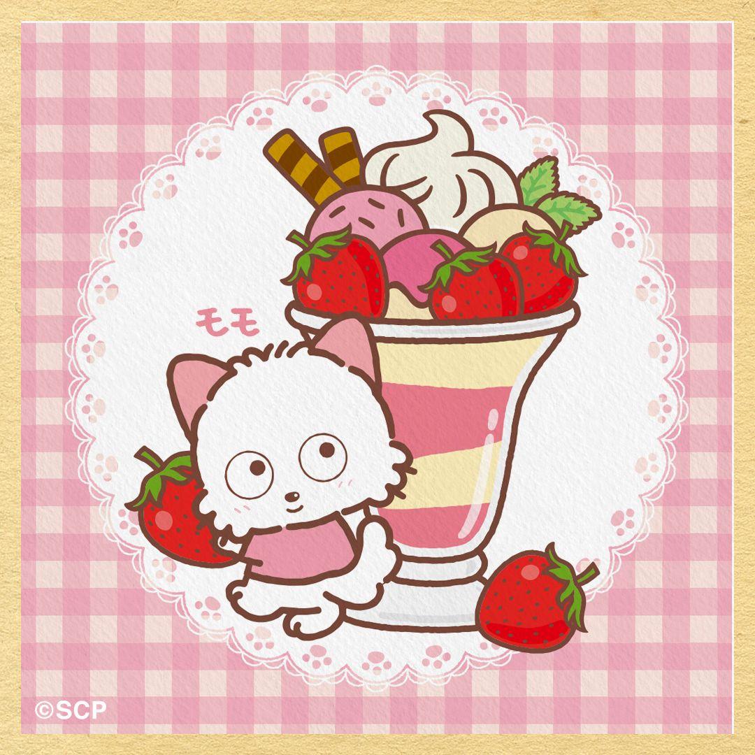 うちのタマしりませんか　正方形1