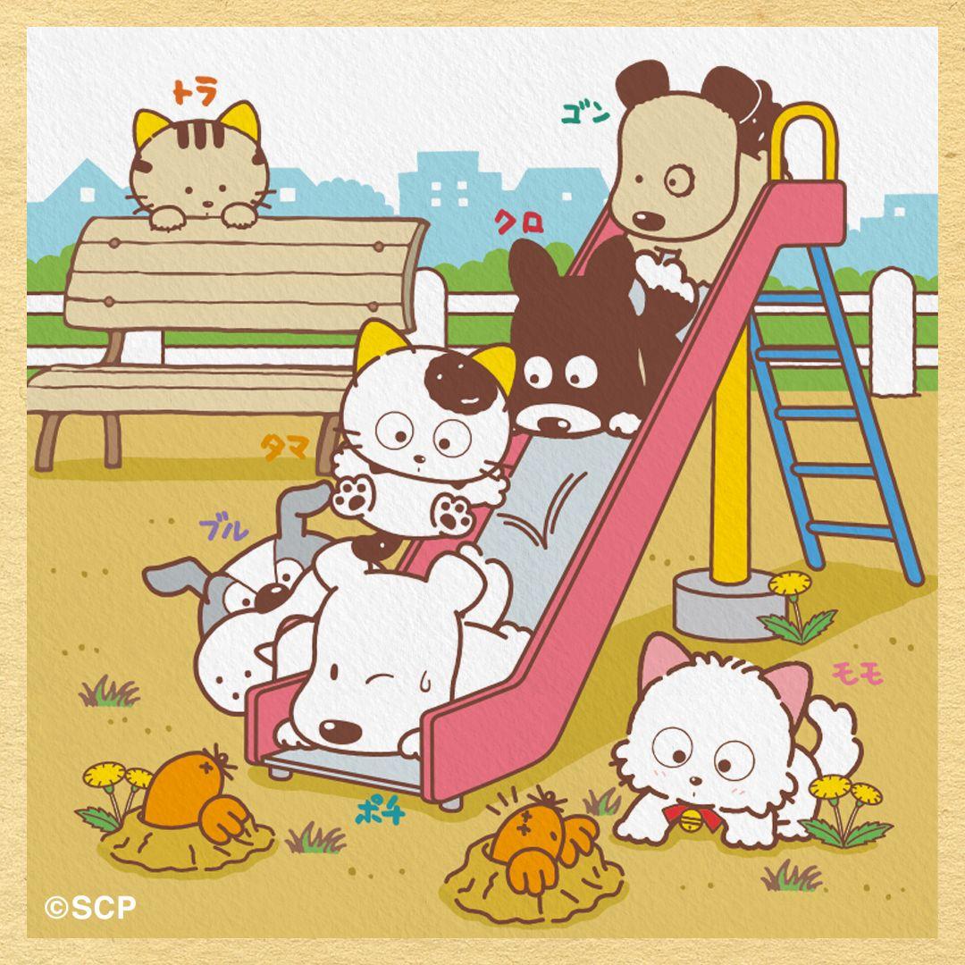 うちのタマしりませんか　正方形1