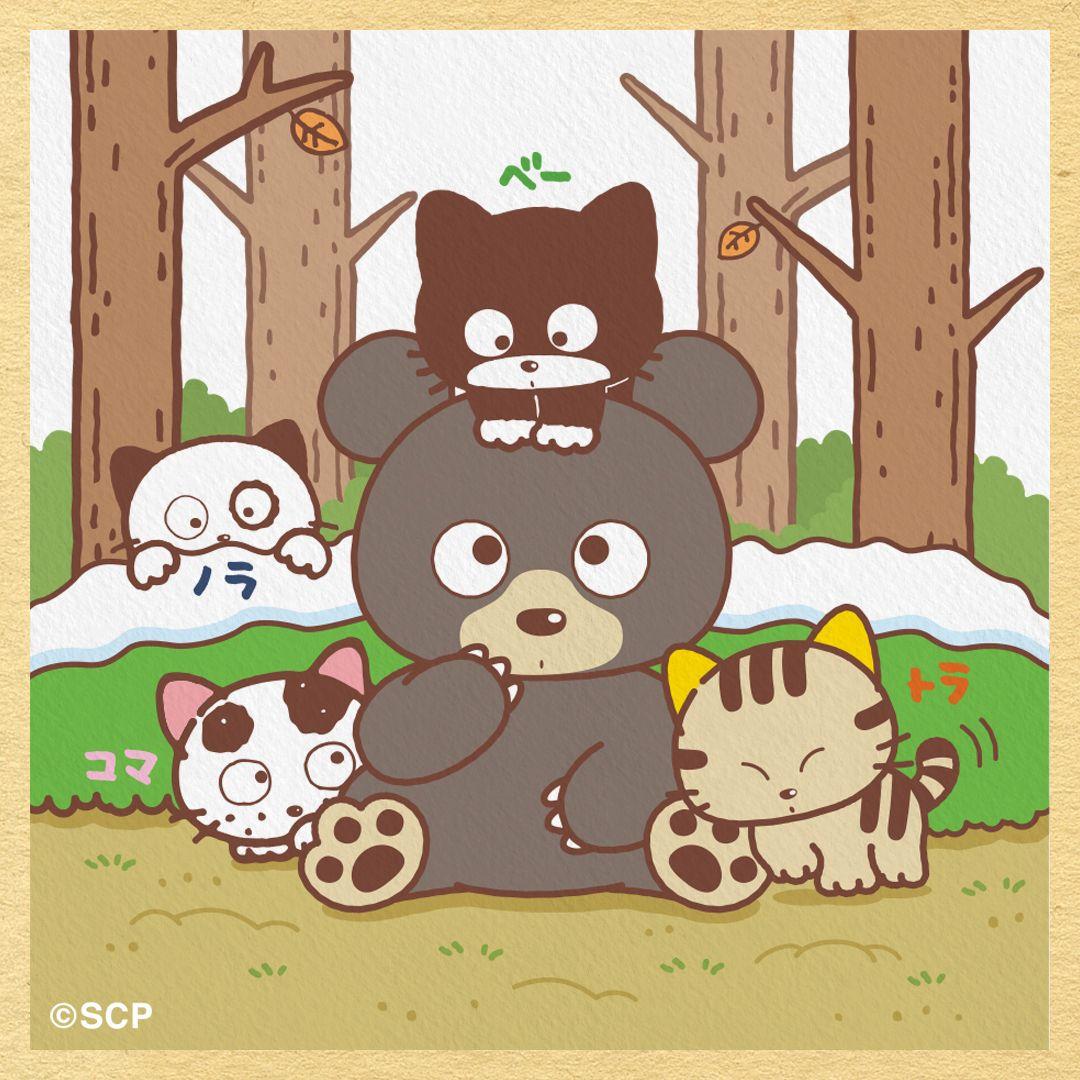 うちのタマしりませんか　正方形1