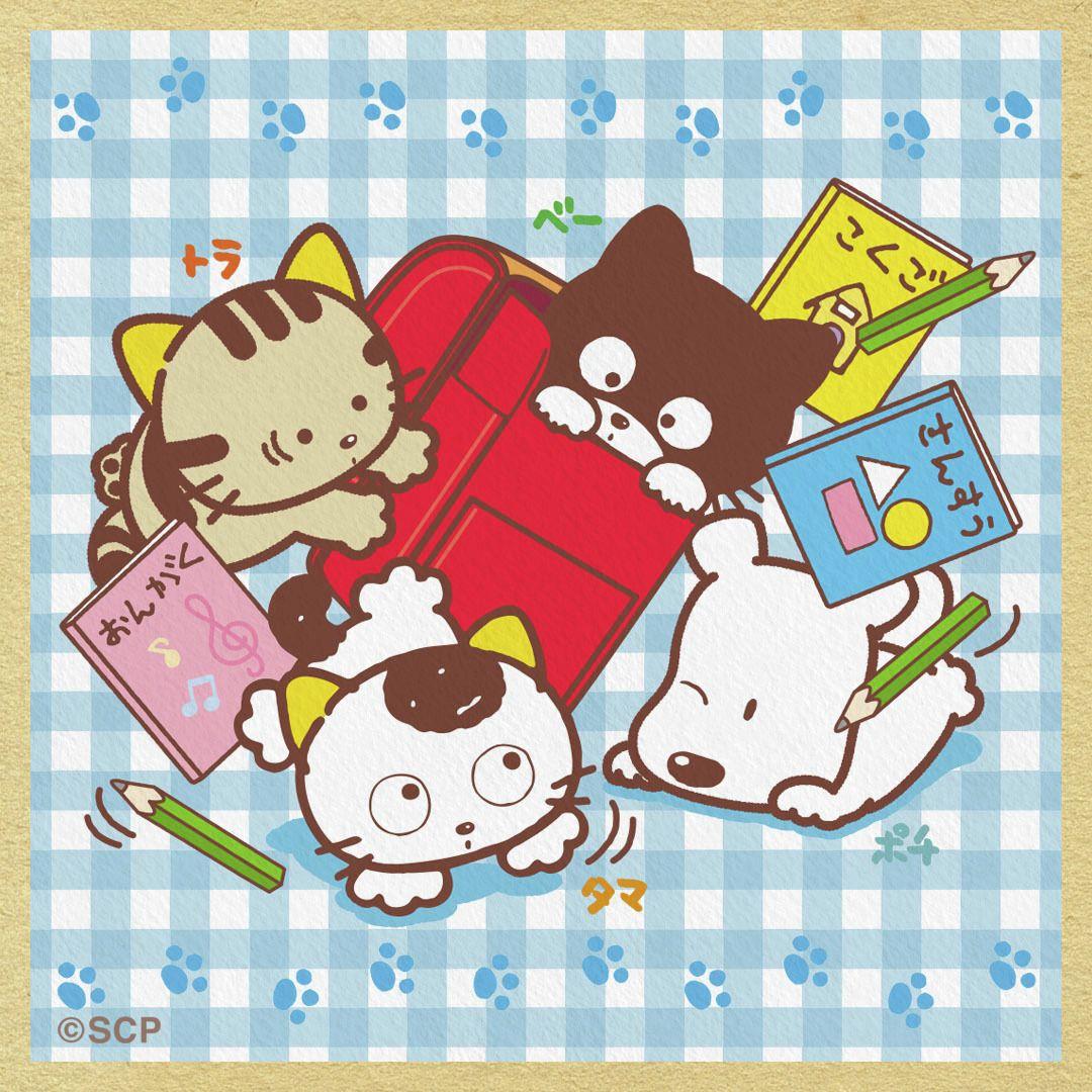 うちのタマしりませんか　正方形1