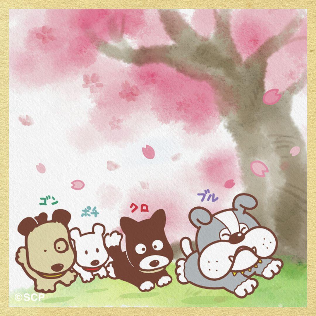 うちのタマしりませんか　正方形1