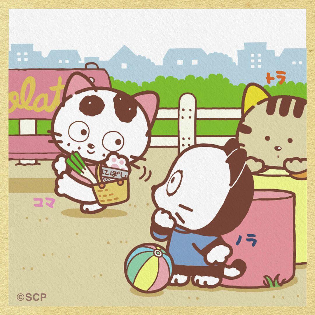 うちのタマしりませんか　正方形1