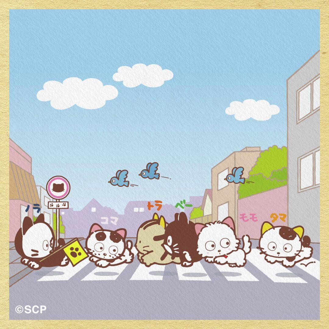 うちのタマしりませんか　正方形1