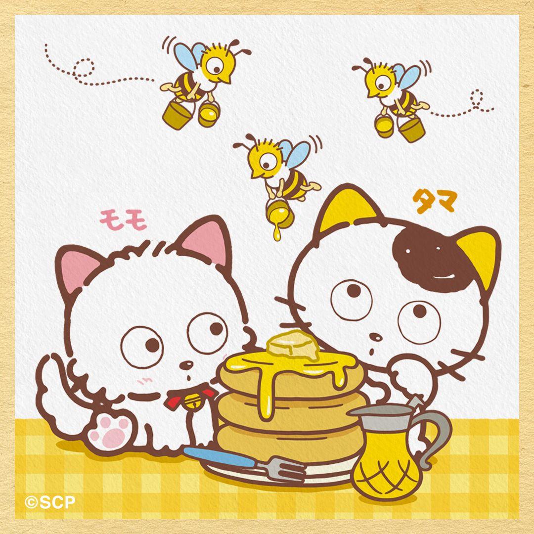 うちのタマしりませんか　正方形1