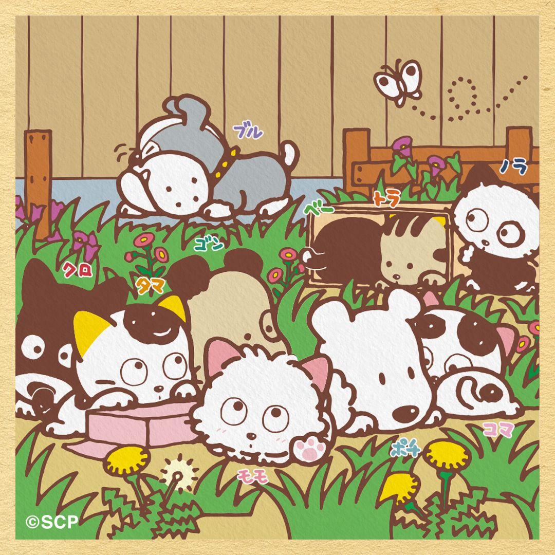 うちのタマしりませんか　正方形1