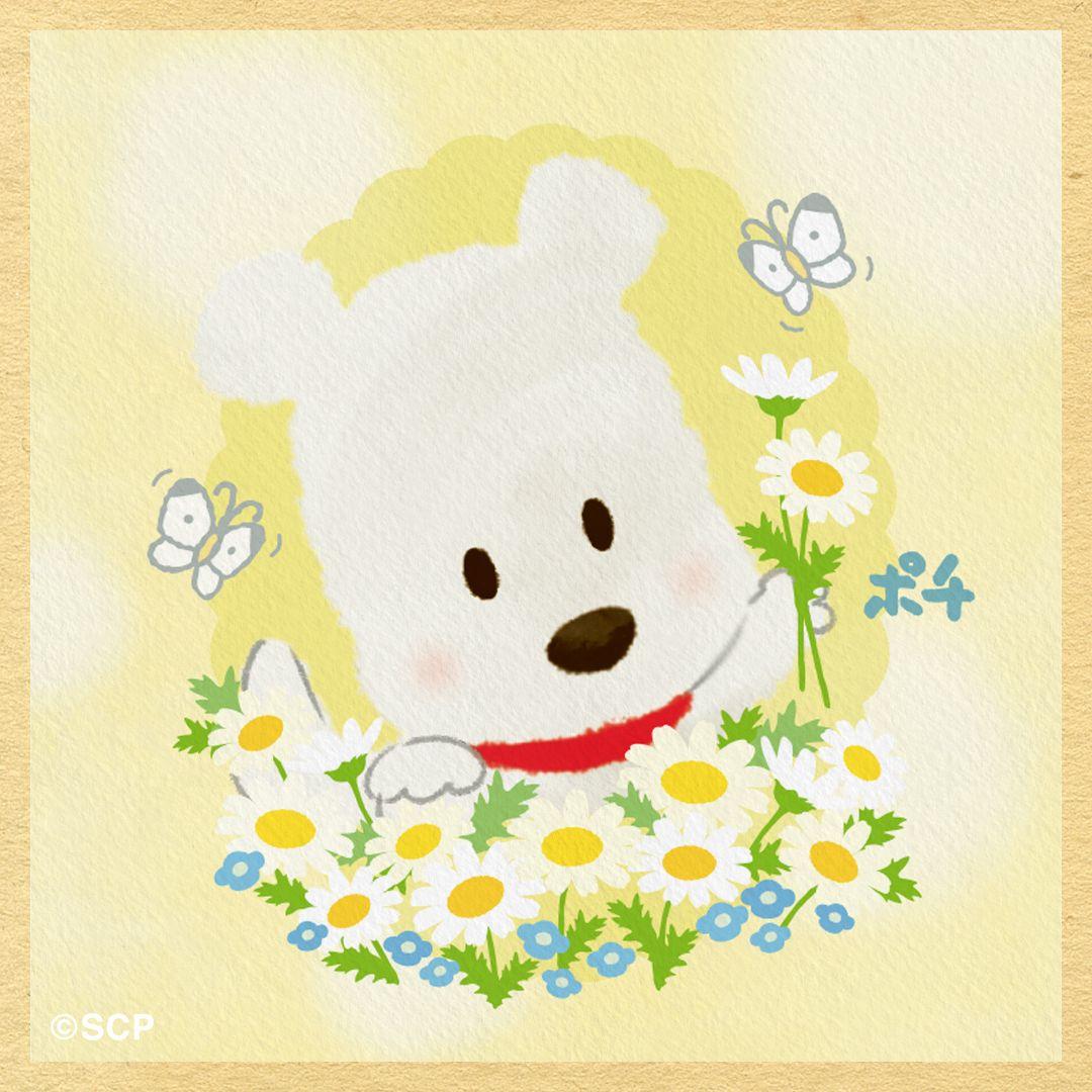 うちのタマしりませんか　正方形1