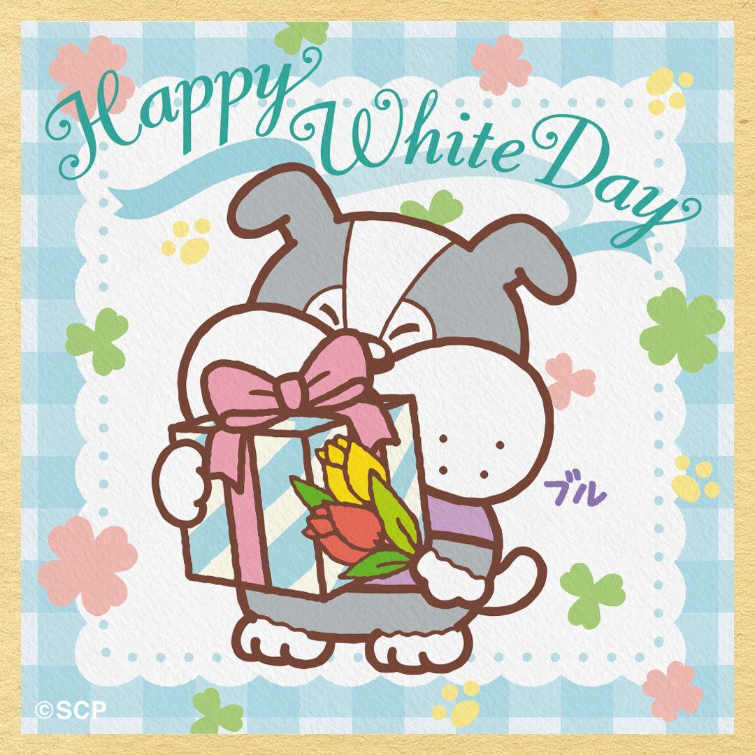 うちのタマしりませんか　正方形1