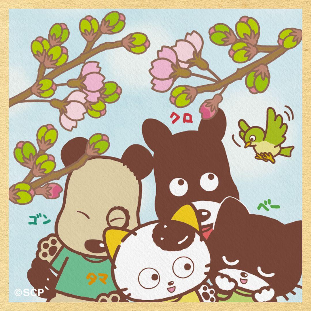 うちのタマしりませんか　正方形1