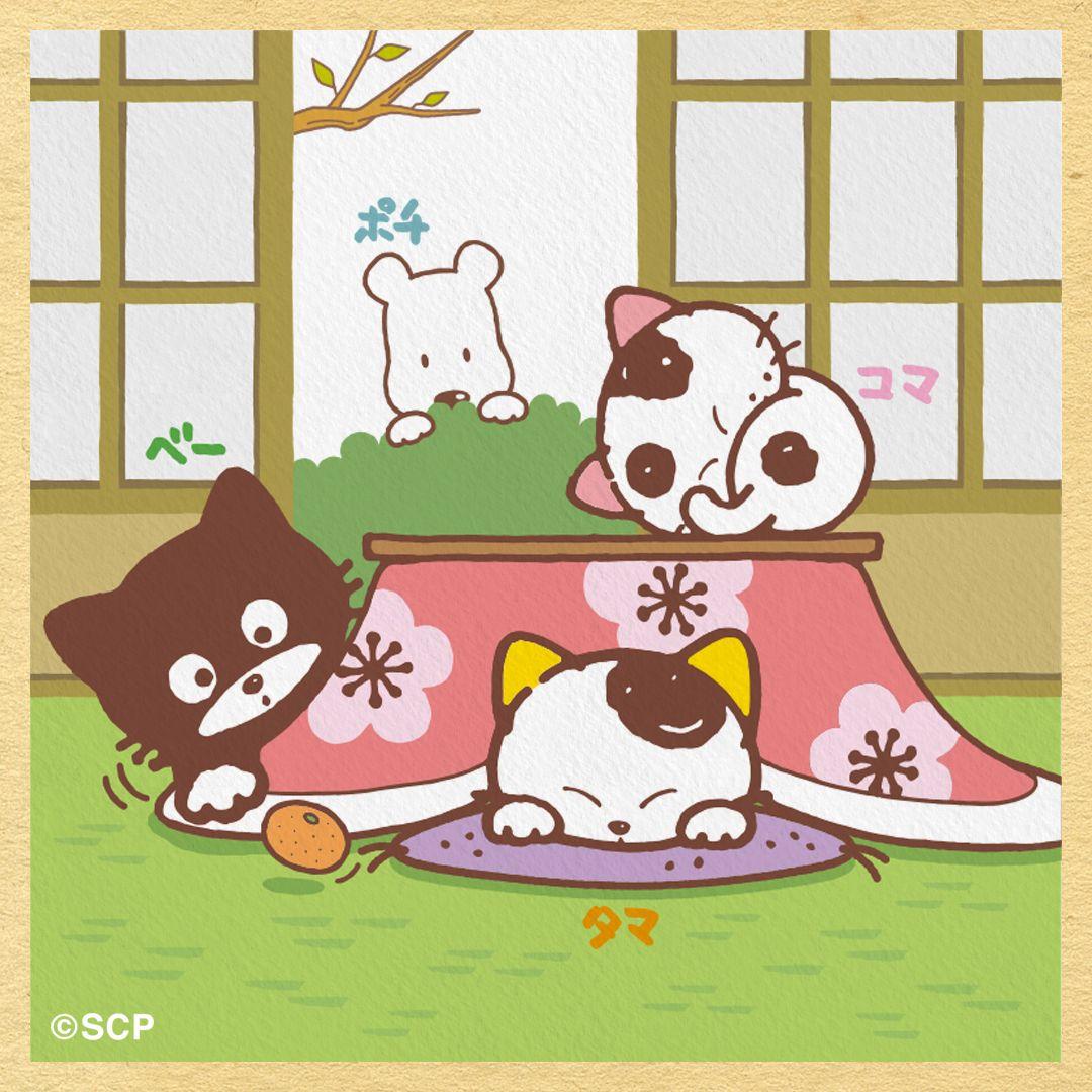 うちのタマしりませんか　正方形1