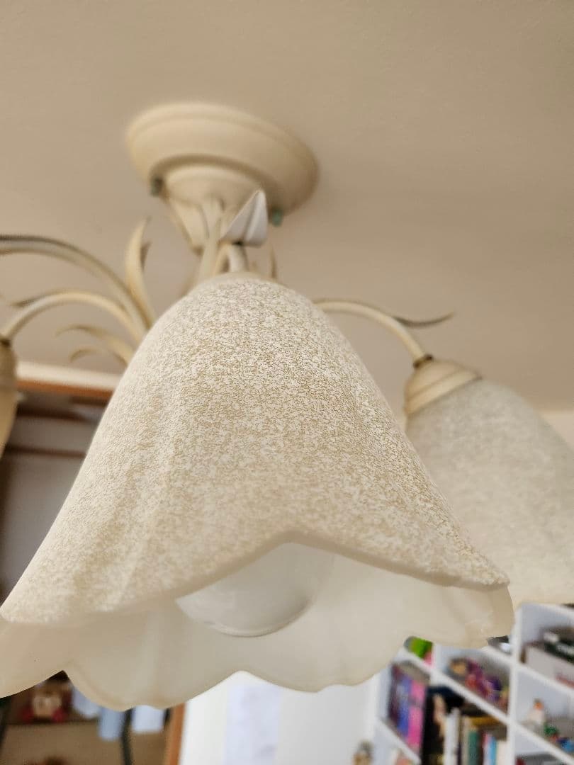 フラワー型シェード 6灯シーリングライト/シャンデリア