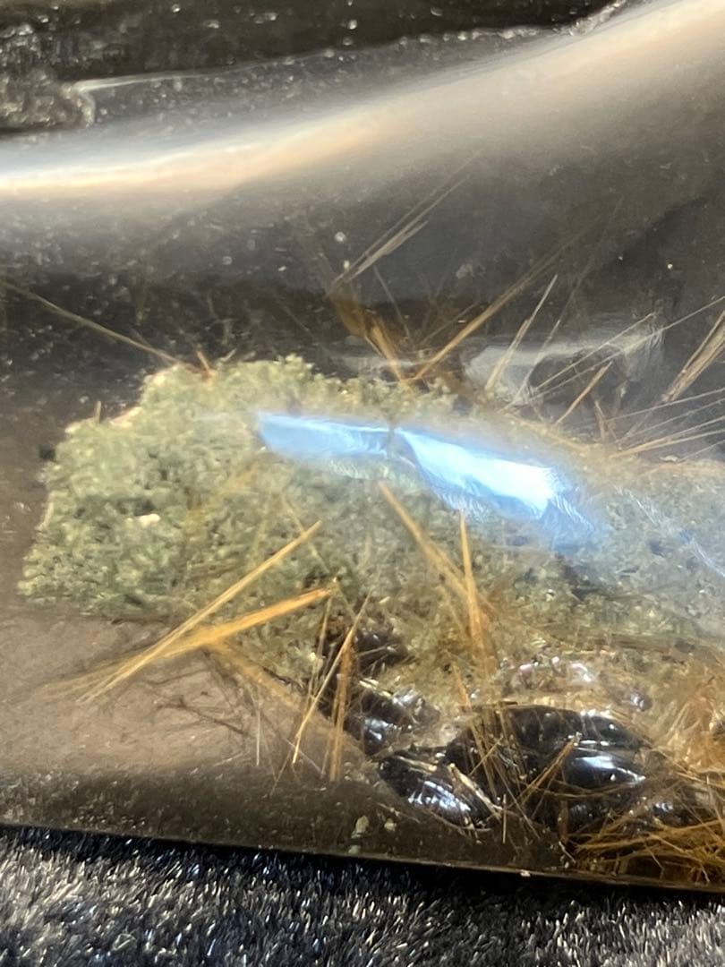 ルチルクォーツ インド ヒマチャル産 原石 天然石 パワーストーン 金運 最強